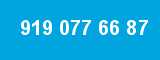 919 077 66 87
